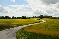 12) 03 Luglio 2016 - Torup-Häckeberg-Svaneholm- Malmö